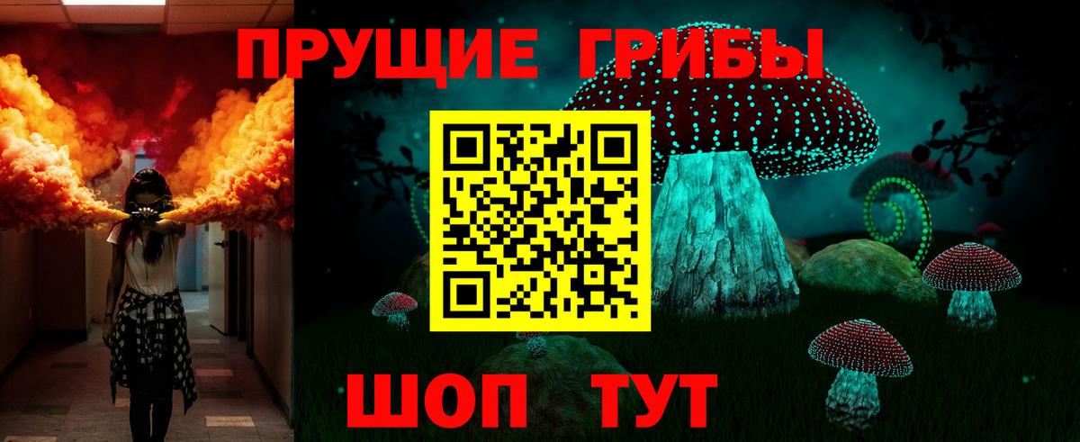 Псилоцибиновые грибы MAGIC MUSHROOMS  Вход с VPN  Ликино-Дулёво 