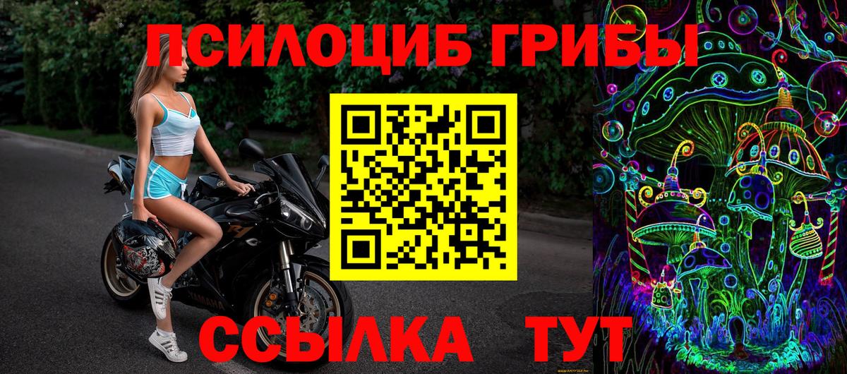 Псилоцибиновые грибы прущие грибы Ликино-Дулёво
